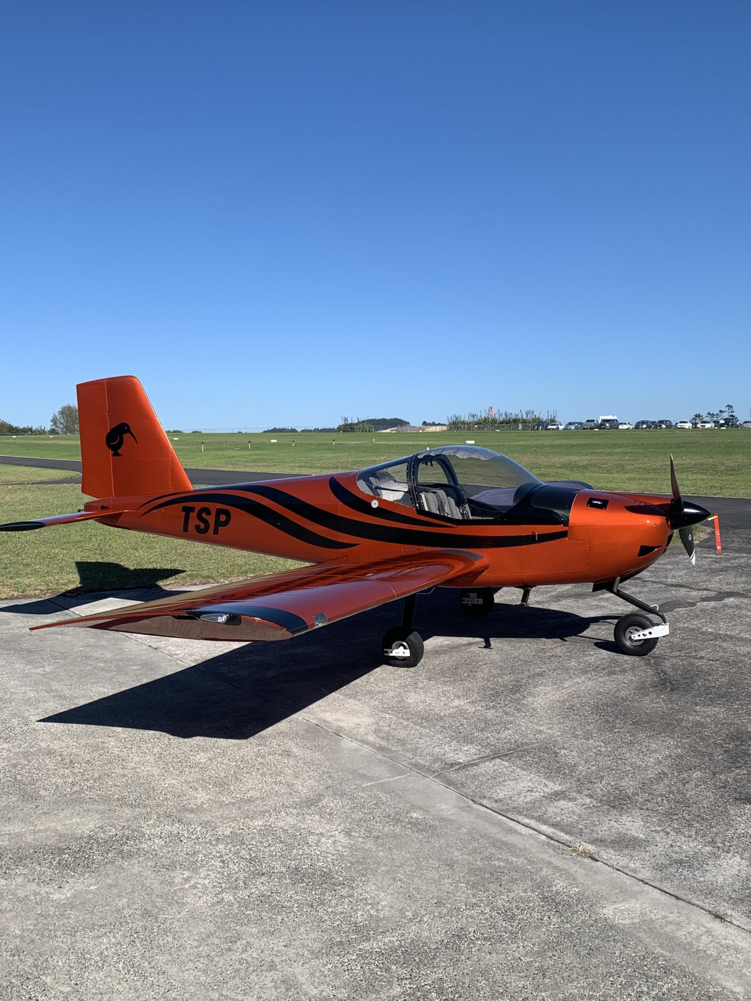 Stephen Taylor's RV-12iS - Van's Aircraft Total Performance RV Kit Planes